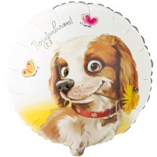 Фольгированный круг №111 Поздравляю! собака с цветком