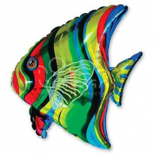 Фольгированный шар № 285 «Рыбка Скалярия»